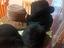Immagine 1