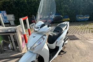Sh 300 2019