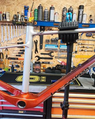 Telaio mtb lee cougan origin