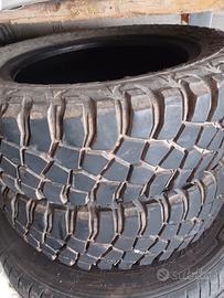 gomme tassellate panda