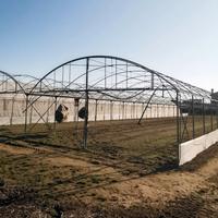 Serra agricola professionale