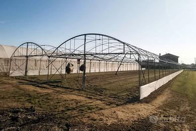 Serra agricola professionale