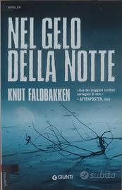 Libro Nel gelo della Notte