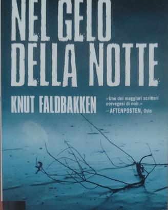 Libro Nel gelo della Notte