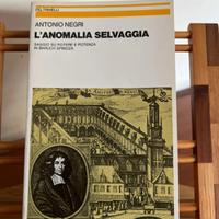 Filosofia:A. Negri, L’anomalia selvaggia -
