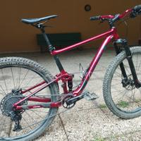MTB Giant anthem 2021