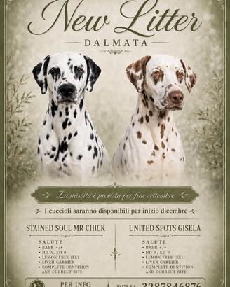 Cucciolo di cane