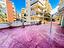 Immagine 26