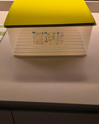contenitore Tupperware da frigo