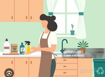 stiro ,preparazione pasti ,lavori domestici,spesa