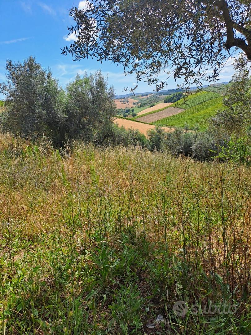Rif 215B TERRENO AGRICOLO A MOSCUFO - Altro