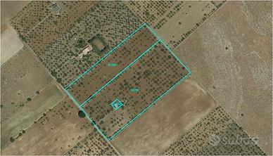 Altamura, terreno con casa rurale