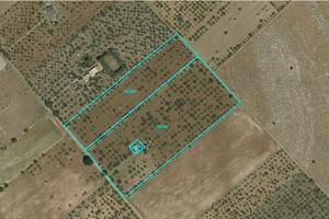 Altamura, terreno con casa rurale