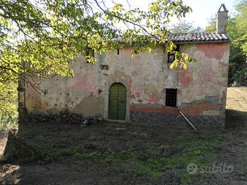 Rustico con terreno