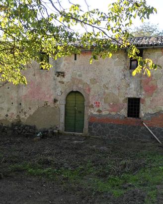 Rustico con terreno