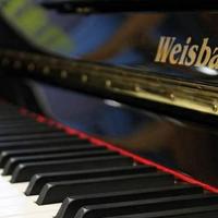 Weisbach 118JS con sistema silent 