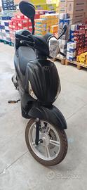 bici elettrica Vitale JL006 