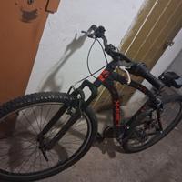 Mountain bike