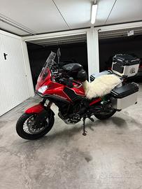 Moto Morini xcape 650 2024