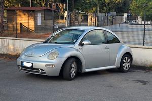 maggiolino