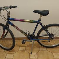 Mountain bike