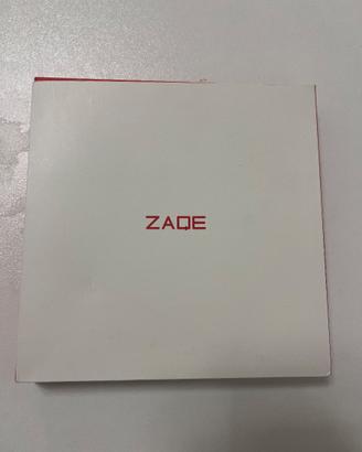registratore vocale ZAQE