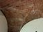 Immagine 19