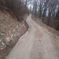 Terreni boschivi tre ettari