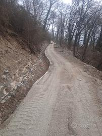 Terreni boschivi tre ettari