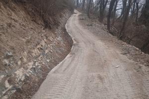 Terreni boschivi tre ettari