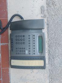 TELEFONO TIME 300P