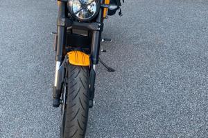 Ducati Scrambler 1100 Pro