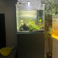 Acquario amtra 90 litri con mobile