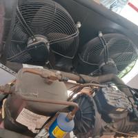  frigo cella positiva ortofrutta salumi latticini