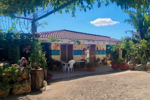 Vendita di casa rustica in strada Statale 131