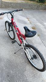 Bicicletta