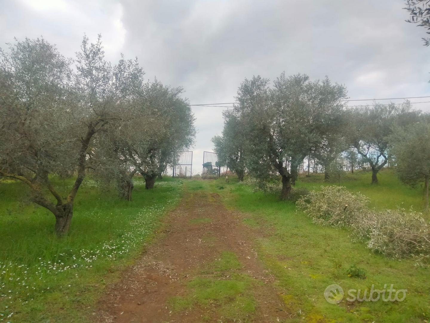 Terreno con rustico - Vista 3