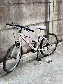 Mtb bimba 24