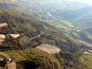 Azienda agricola con allevamento suini