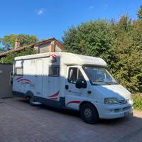 ROLLER TEAM GRANDUCA 255 Special P