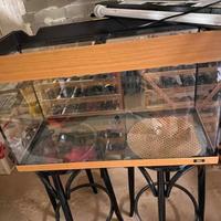 acquario juwel 80 litri e filtro Hv302