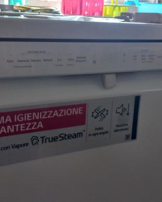 LG DF365FWS Lavastoviglie