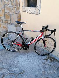 Bici da corsa Napa Valley