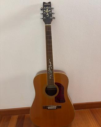 Chitarra Washburn