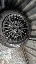 continetal 2 ruote complete