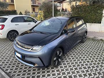 BYD Dolphin Design