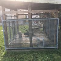 Box per cani, legnaia o deposito attrezzi 