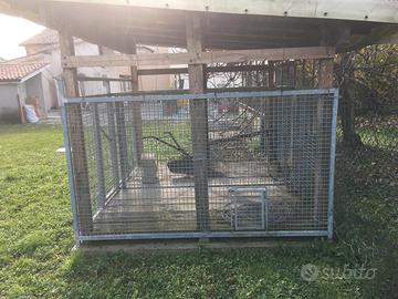 Box per cani, legnaia o deposito attrezzi 