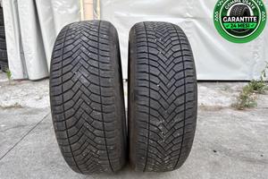 gomme usate 2156016 All Seasons Delinte - Aw6 - 40