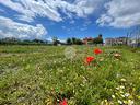 ter-agricolo-a-scafati